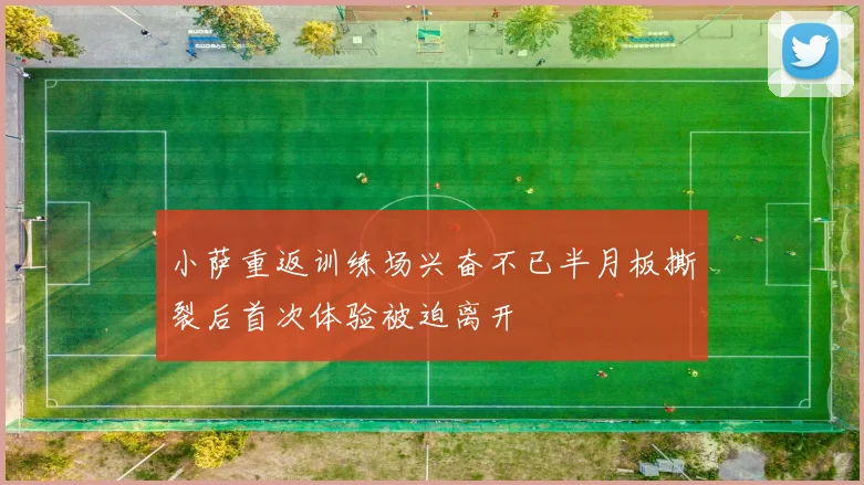 小萨重返训练场兴奋不已半月板撕裂后首次体验被迫离开