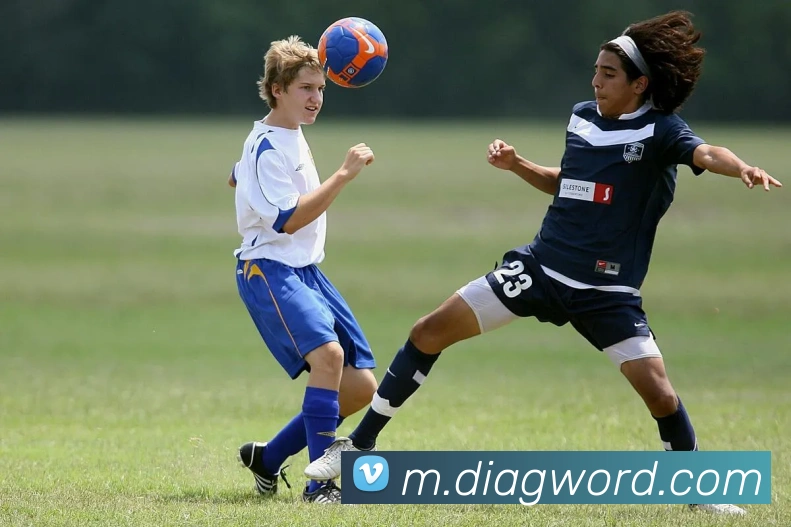 APP界面展示